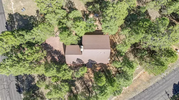 Happy Jack, AZ 86024,2619 STARLIGHT DR