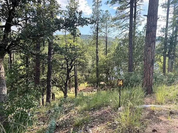 14 W Wipila Wiki DR, Payson, AZ 85541