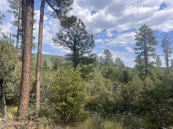 Pine, AZ 85544,0000 N Mistletoe Lot R