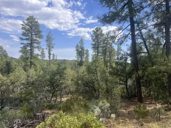 Pine, AZ 85544,0000 N Mistletoe Lot R