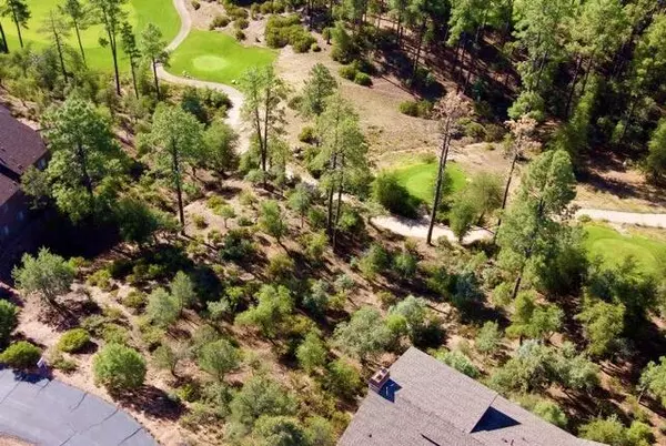 Payson, AZ 85541,505 N Grapevine DR