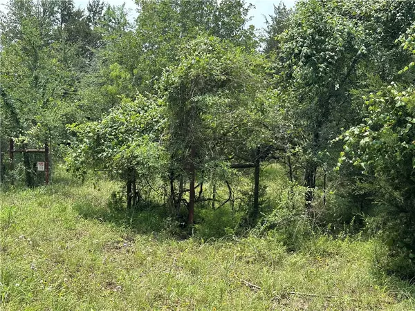 Tract 2 LCR 701, Kosse, TX 76653