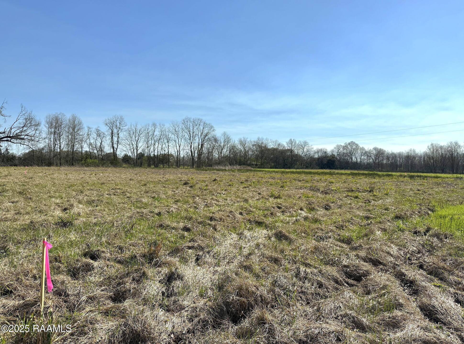 Opelousas, LA 70570,Tbd Apple Rd Tract B