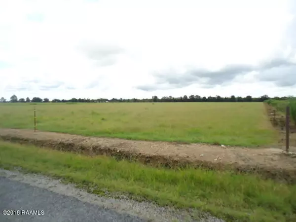 000 Connie RD, Iota, LA 70543