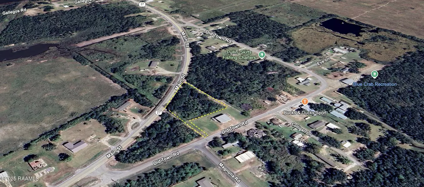 000 Old Town Road, Hackberry, LA 70645