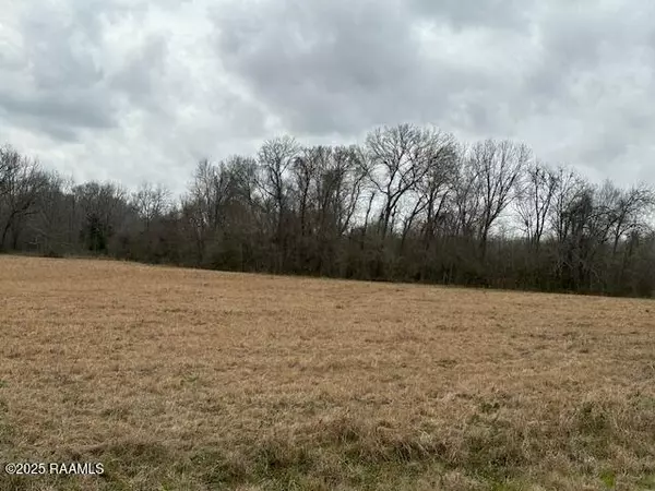 Washington, LA 70589,Grand Prairie Hwy