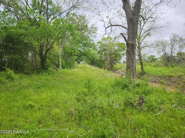 Kaplan, LA 70548,14500 Jasmine RD