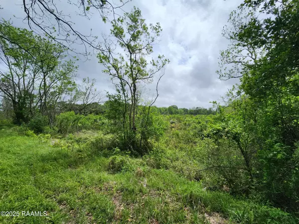 Kaplan, LA 70548,14500 Jasmine RD