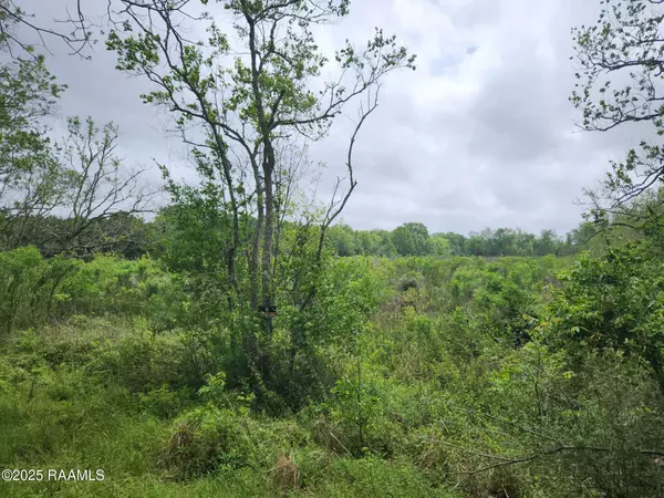 Kaplan, LA 70548,14500 Jasmine RD