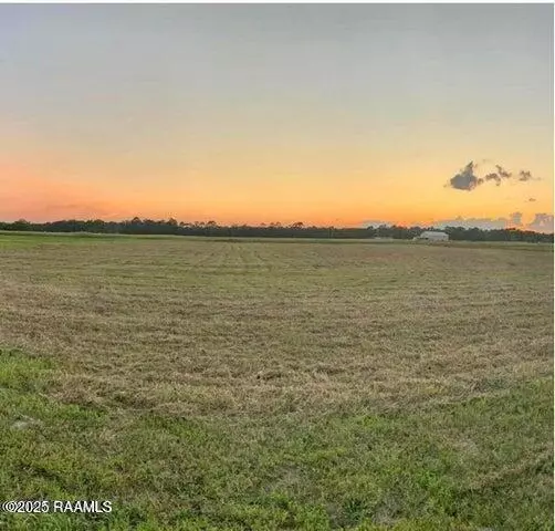 Basile, LA 70515,Vie Terre Beau RD