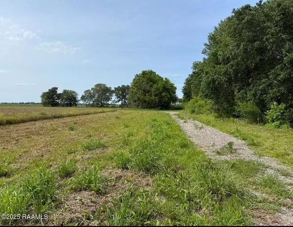 Maurice, LA 70555,7040 Wilson RD