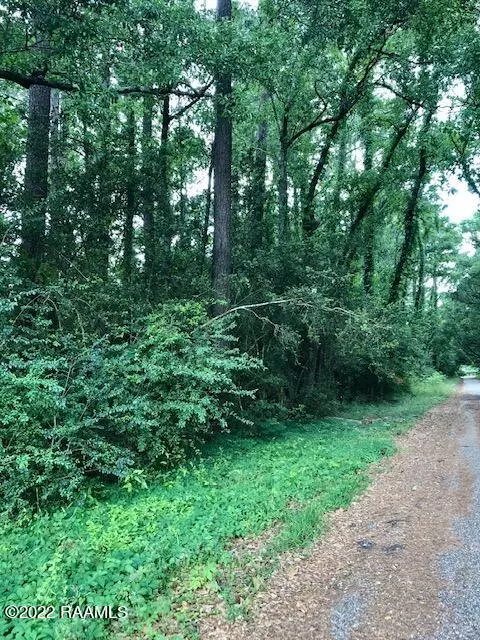 Lafayette, LA 70507,300 Blk Monique #2a