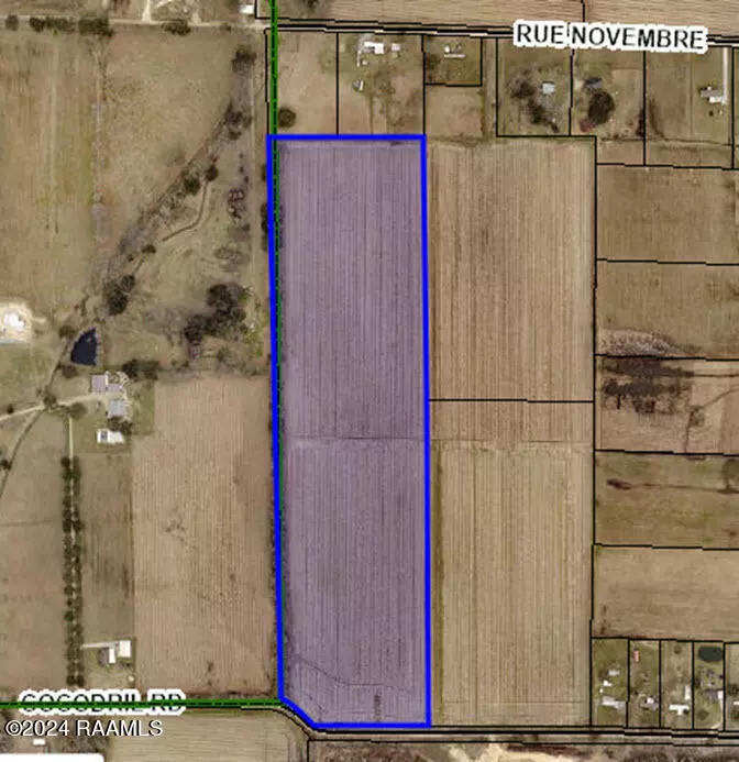 Scott, LA 70583,920 Cocodril RD