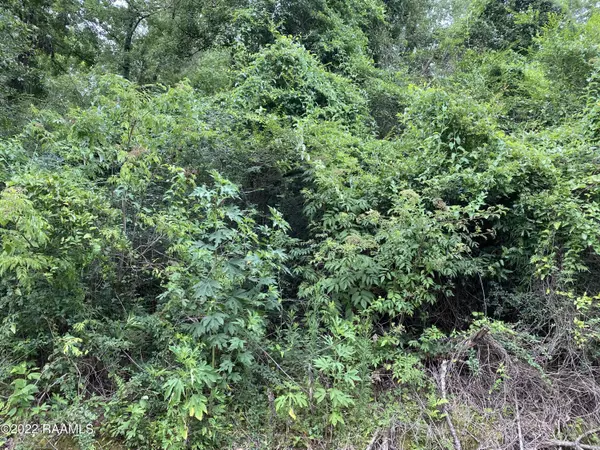 Tbd Marcia AVE, Abbeville, LA 70510