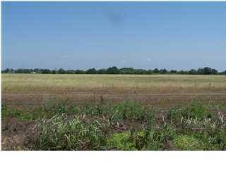 Lot 6 Monceaux, Rayne, LA 70578