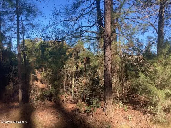 Eunice, LA 70535,Landry LN