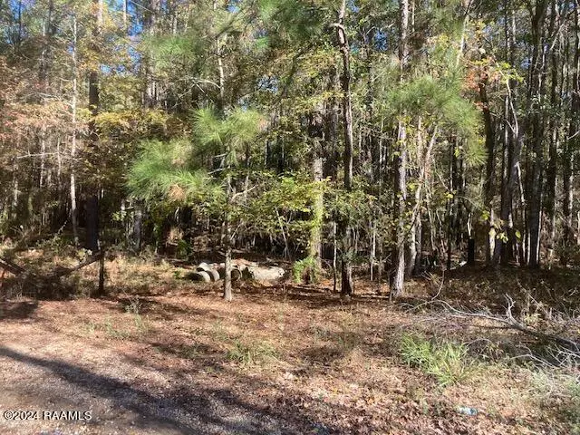 Eunice, LA 70535,Landry LN