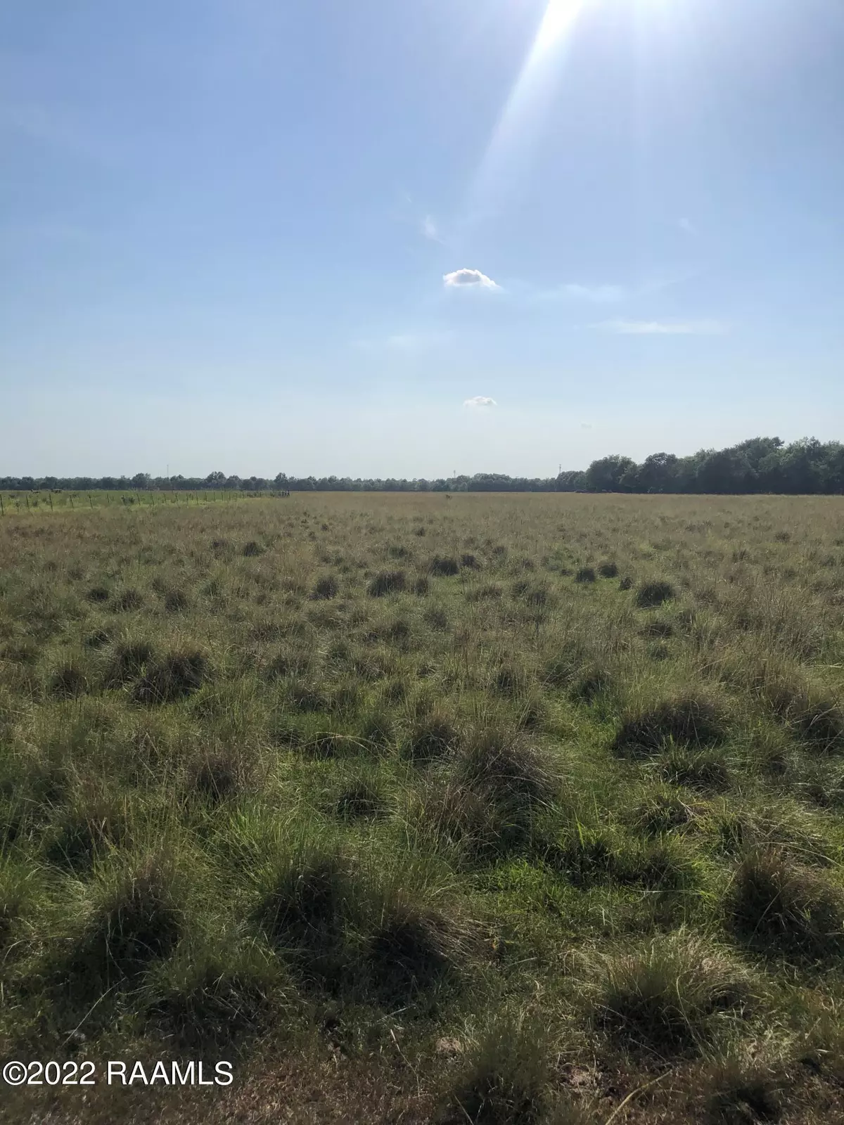 Rayne, LA 70578,Lot 1 Grand Prairie HWY