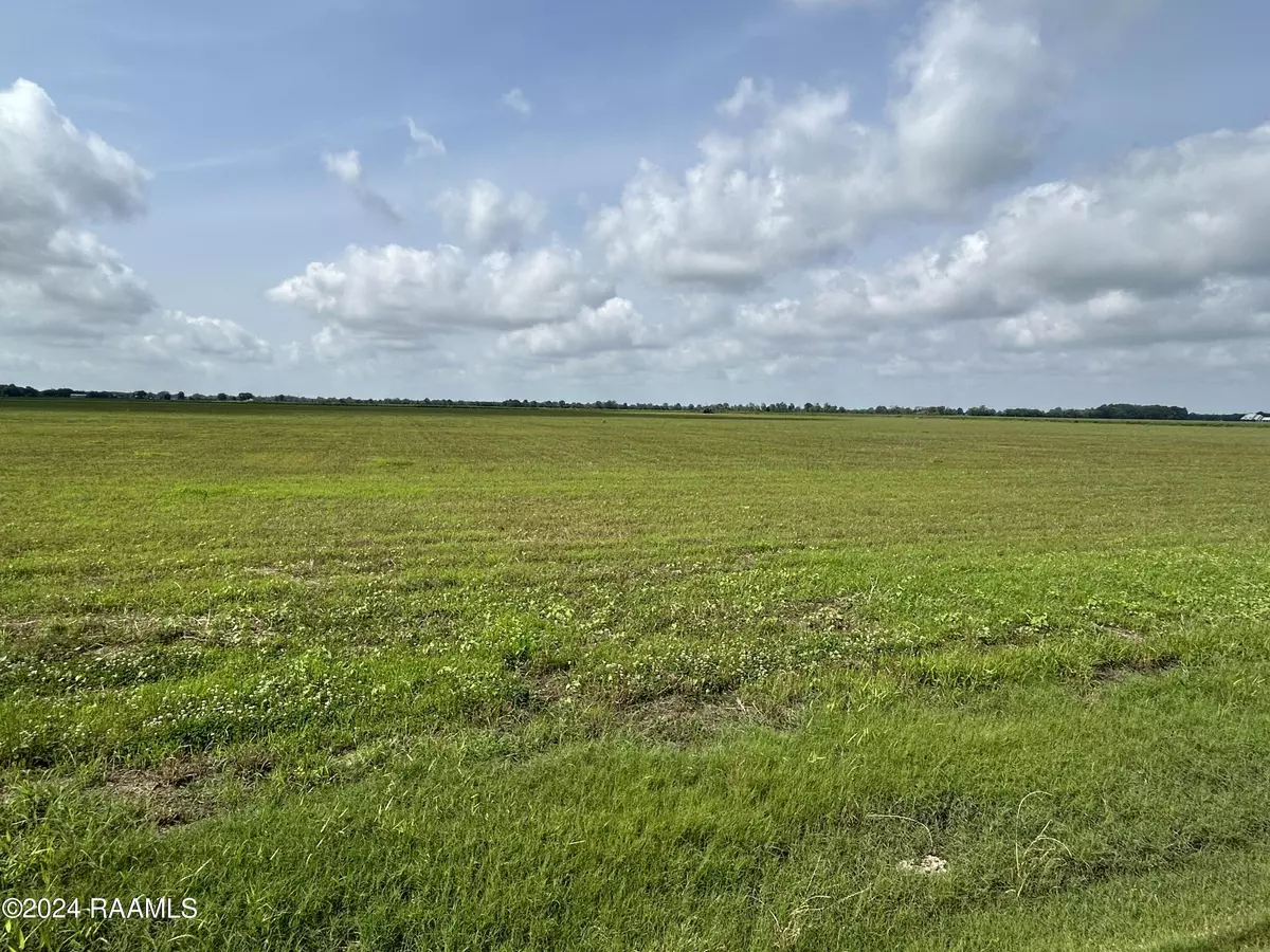 Rayne, LA 70578,1401 Sellers RD #Lot 10