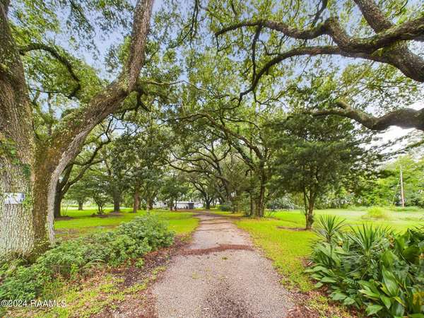 10826 Sidney Gautreaux, Abbeville, LA 70510