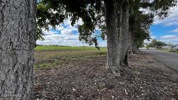 1067 Jeffrey Broussard #Lot 4, Breaux Bridge, LA 70517