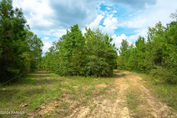 Basile, LA 70515,1 Vie Terre Beau RD