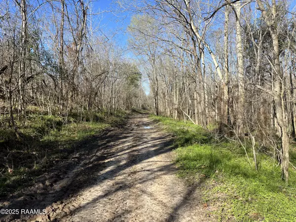 Krotz Springs, LA 70750,Tract 1 Old Highway 190 Rd RD