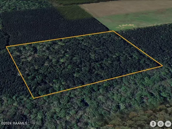 Elton, LA 70532,0 Tbd ST