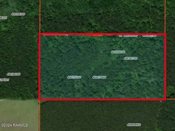 Elton, LA 70532,0 Tbd ST