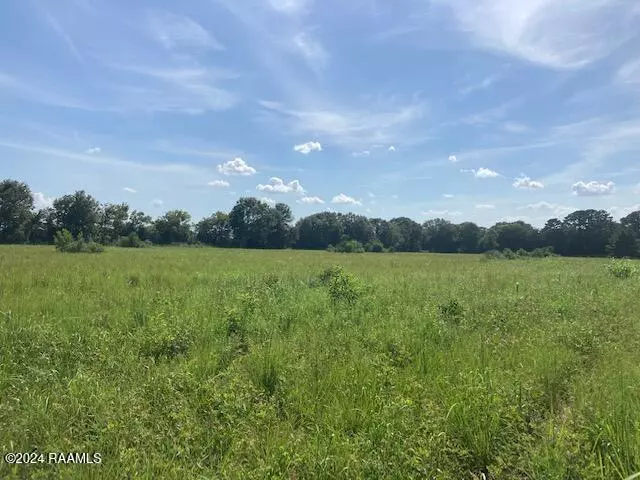 Eunice, LA 70535,1 Rena RD