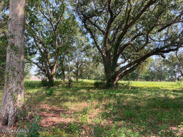 Eunice, LA 70535,2 Rena RD