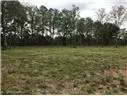 Centerpoint, LA 71323,0 Ridge #Lot F