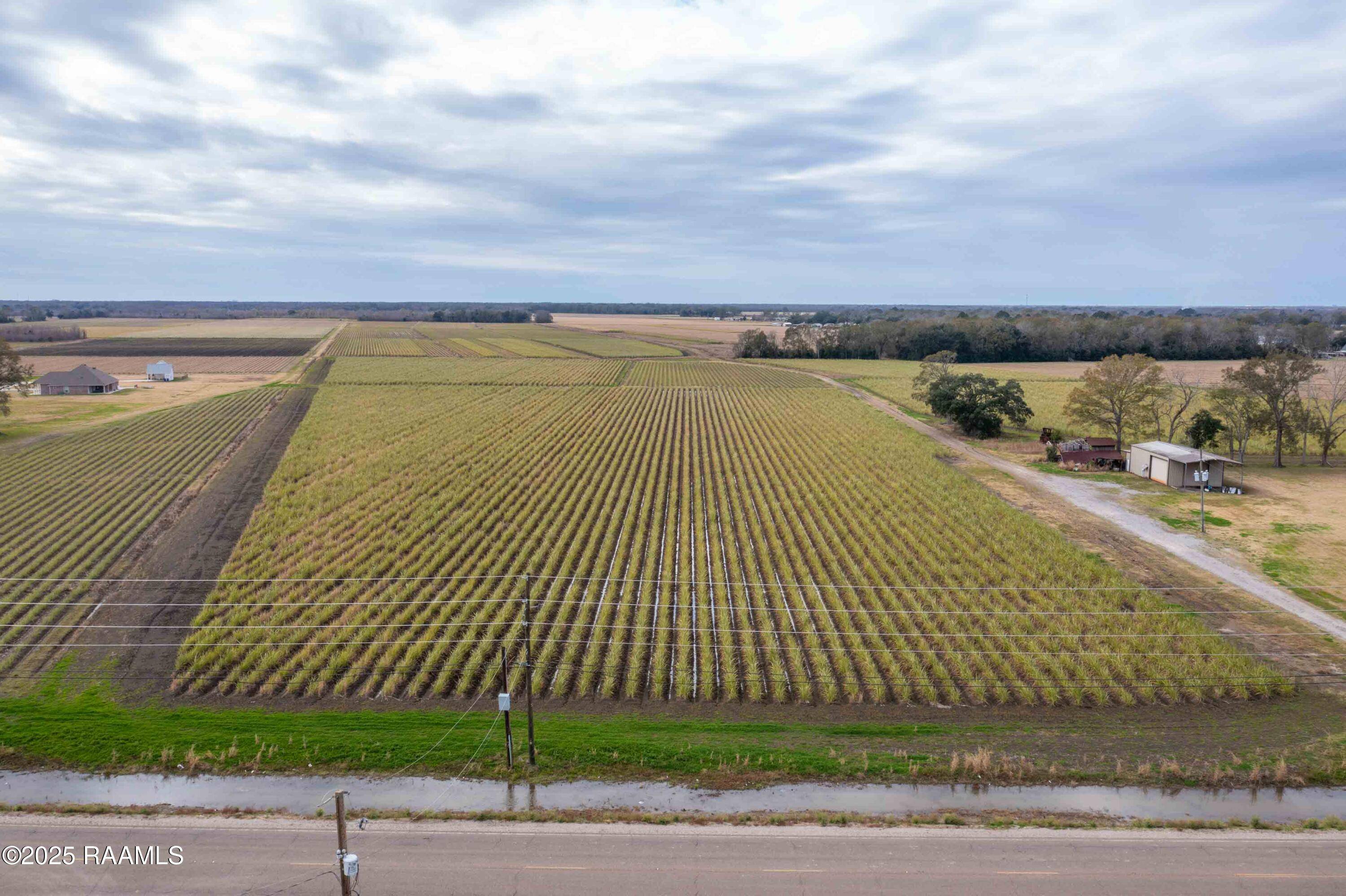 St. Martinville, LA 70582,Tbd Main HWY