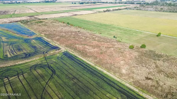 Iota, LA 70543,1049 Gravot RD