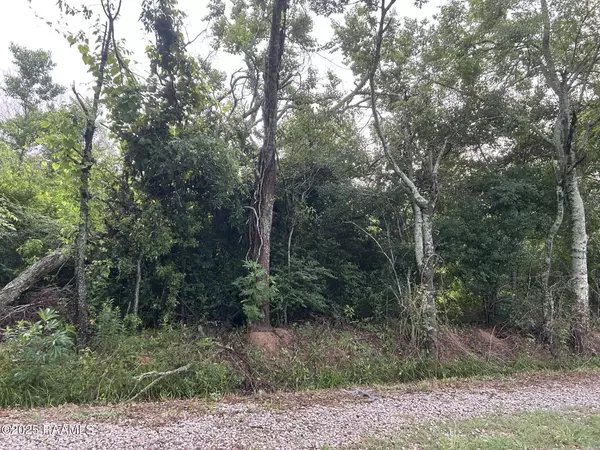 Ville Platte, LA 70586,Tbd Bienville RD