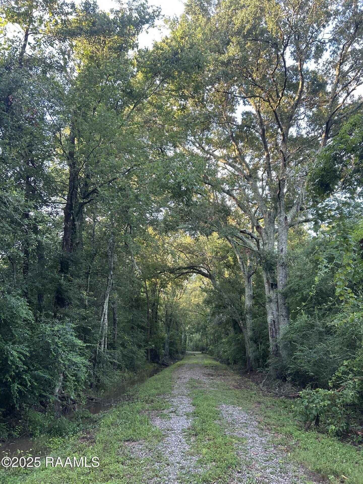 Ville Platte, LA 70586,Tbd Bienville RD