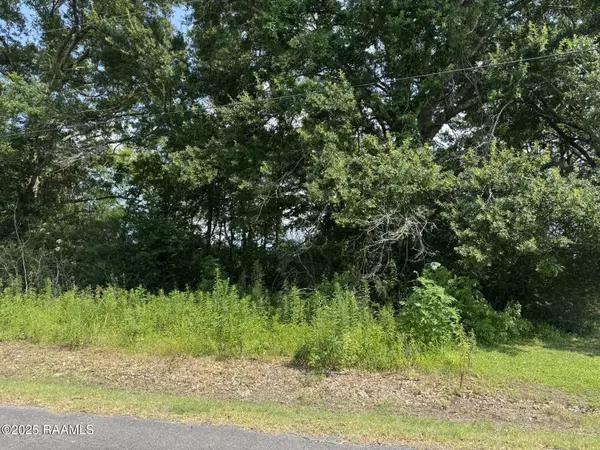 St. Martinville, LA 70582,Tbd Orphe RD #34 & 35