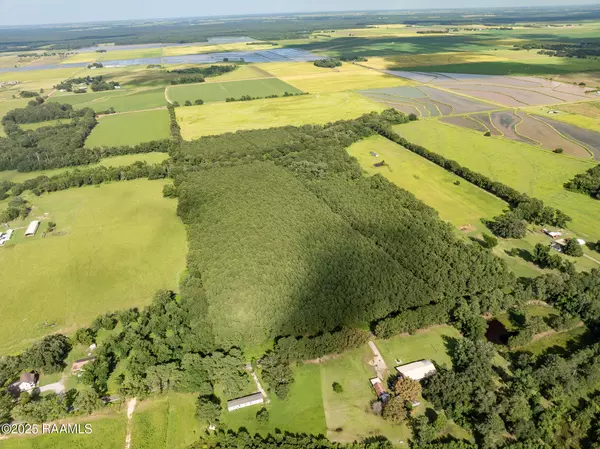 Basile, LA 70515,Tbd Jolene RD