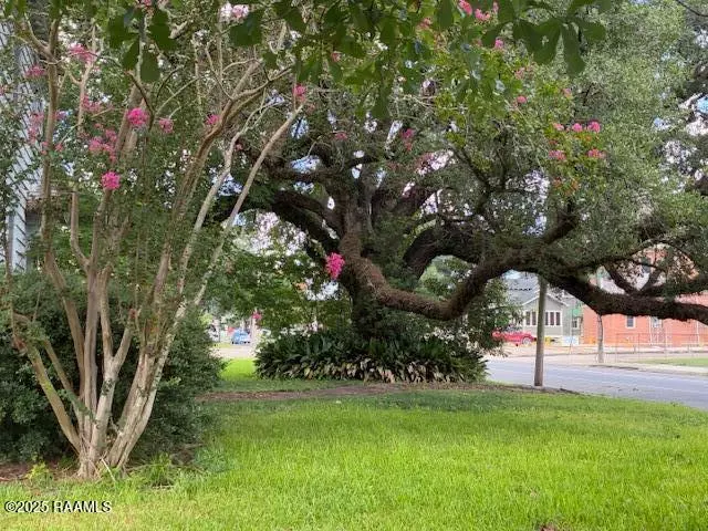 New Iberia, LA 70560,203 W St. Peter ST