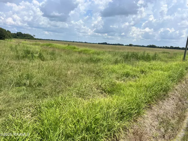 Church Point, LA 70525,400 Blk Andrew Drive 5