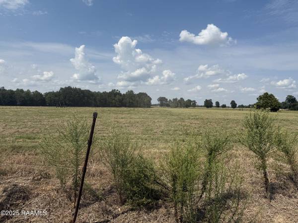 Tbd Winding RD, Ville Platte, LA 70586
