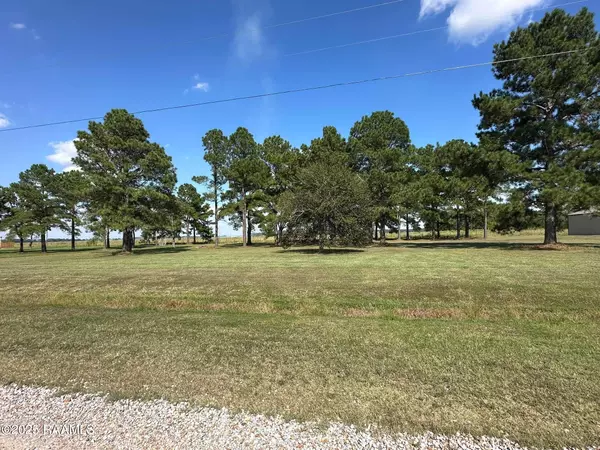 Bearing  Lot #3 DR, Eunice, LA 70535