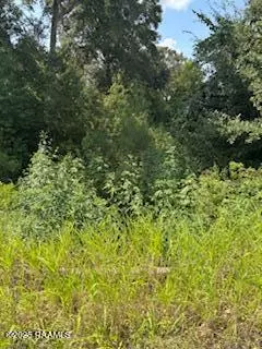 Church Point, LA 70525,Tbd Lawtell Hwy