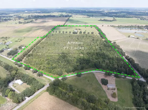 Abbeville, LA 70510,15011 S Guegnon ST