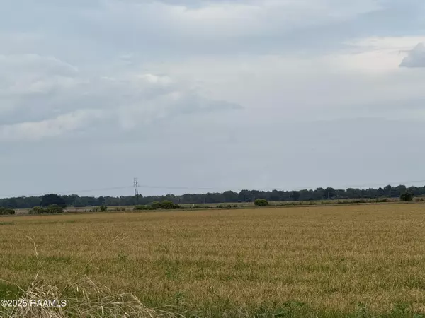 Branch, LA 70516,Tbd White Oak RD