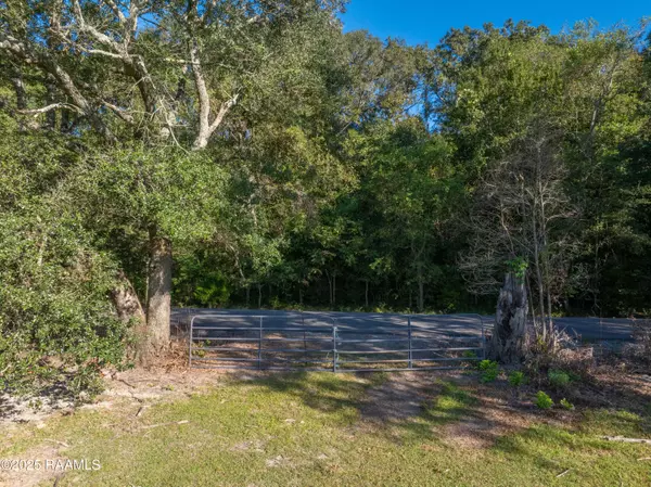 St. Martinville, LA 70582,Tbd Martin Dautreuil RD