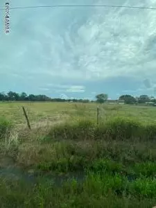 Kaplan, LA 70548,Tbd Trailwood RD