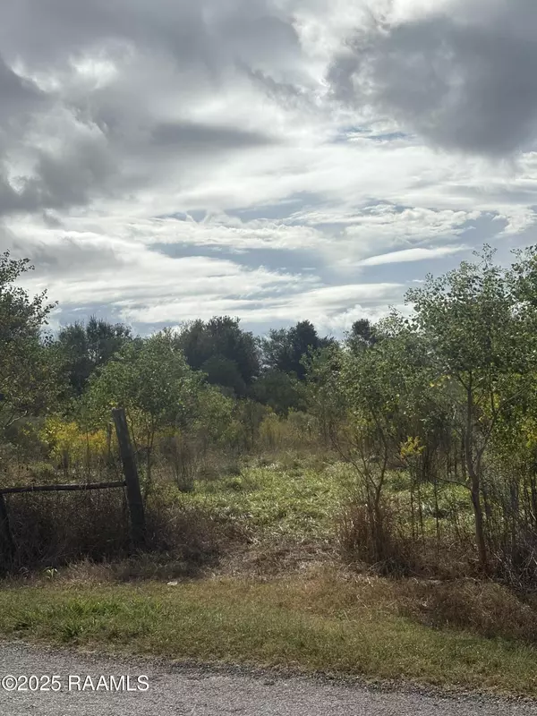 Kaplan, LA 70548,Tbd Trailwood RD