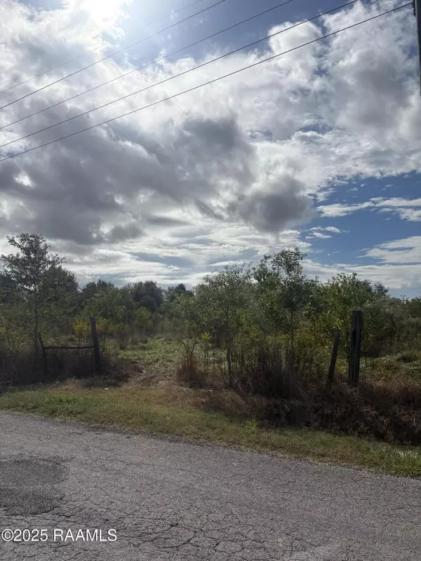 Kaplan, LA 70548,Tbd Trailwood RD