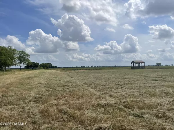 Rayne, LA 70578,3114 Girouard RD